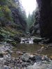 DSCF6110.JPG