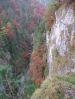 DSCF6126.JPG