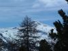 VARS_2006_036.jpg