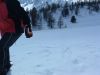 VARS_2006_048.jpg