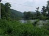 DSCF2798.JPG