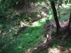 DSCF2817.JPG