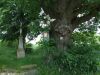 DSCF2836.JPG