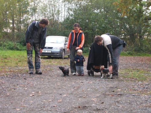 Klik op de foto om originele grootte te bekijken