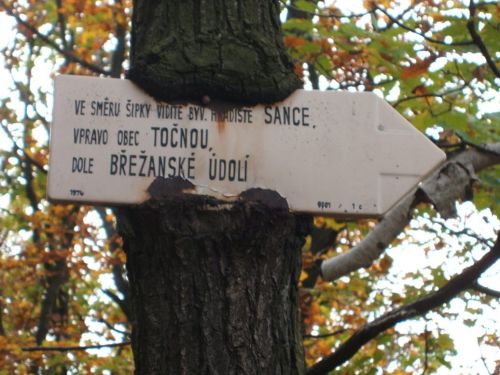 Hemen sakatu irudia tamaina osoan ikusteko