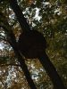 DSCF3264.JPG