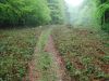 DSCN7516.JPG
