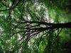 DSCN7520.JPG