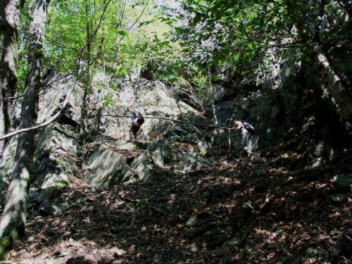 Kliknite za ogled večje slike