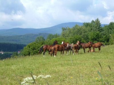 Κάντε κλικ για να δείτε την εικόνα σε πλήρες μέγεθος