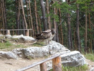 Klikkaa kuvaa nähdäksesi se täysikokoisena