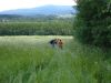 2004_0703VODA--20040039.JPG
