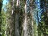 2004_0703VODA--20040064.JPG