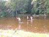 2004_0703VODA--20040090.JPG